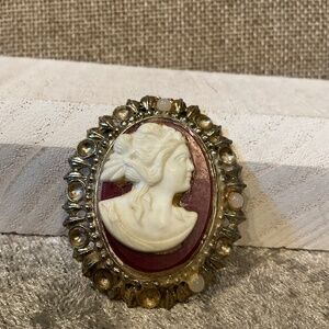 Vintage Dark Red and White Madusa Style Cameo Brooch